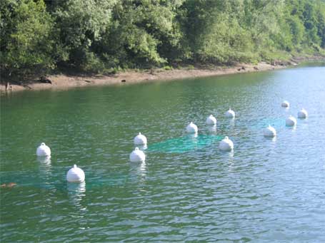 Frayères artificielles flottantes implantées sur les lacs de l'eau d'heure