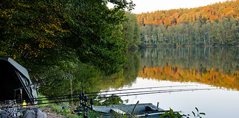 Pêche à la carpe Lac de la Vierre à Suxy